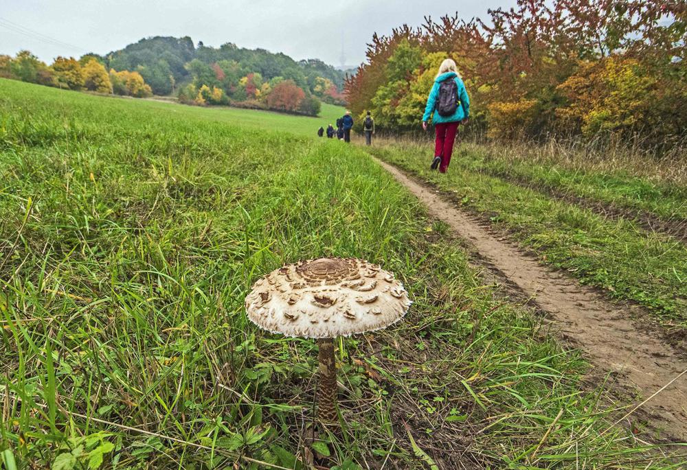 Se Severem na Bukovku - na trase