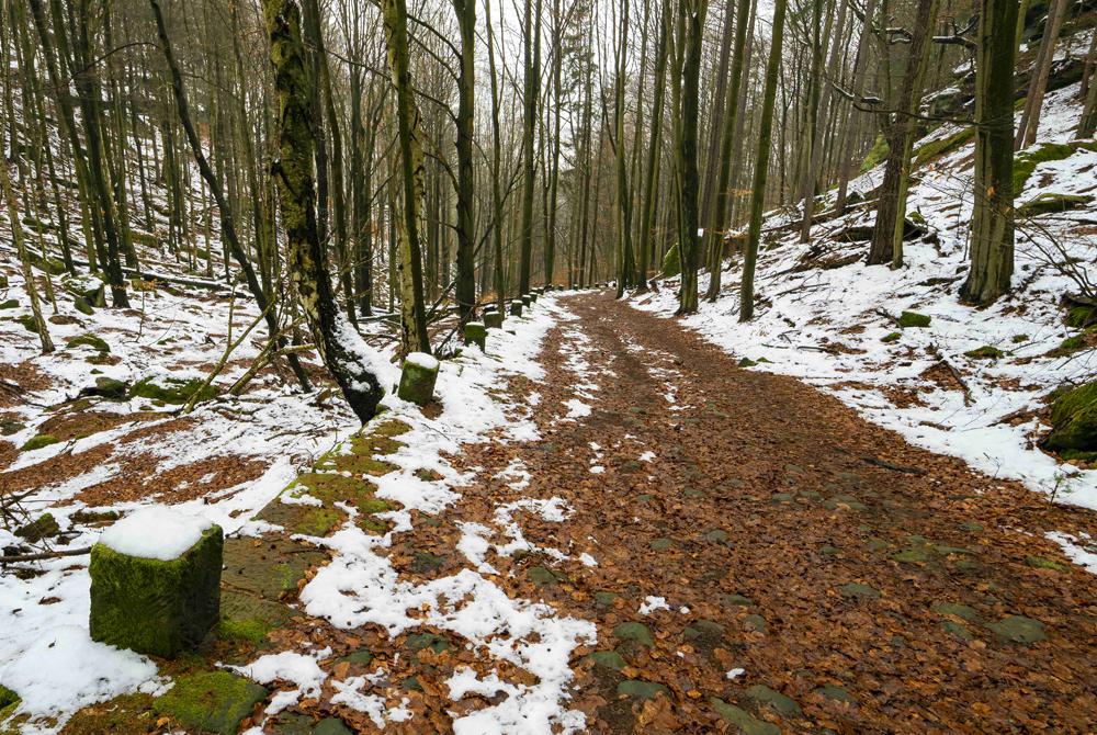 Cesta z Gro�er Winterbergu do Schmilky - Sask� �v�carsko