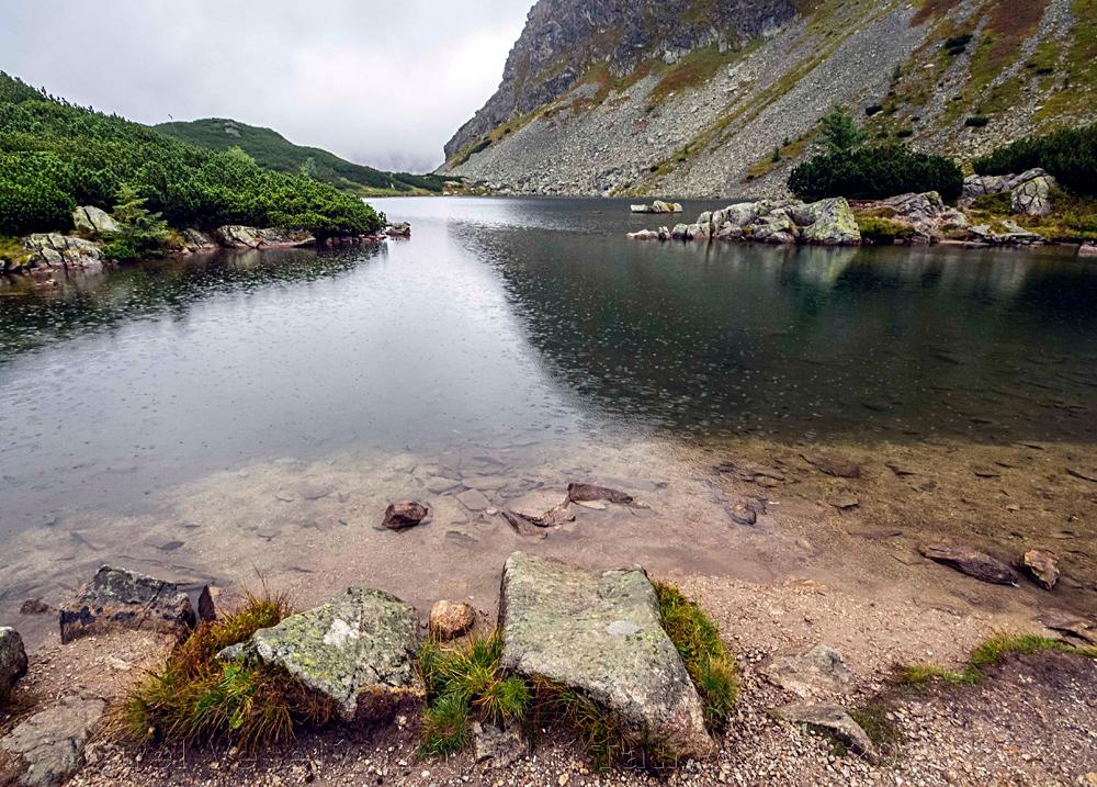 Roh��sk� ples� - Z�padn� Tatry na Slovensku