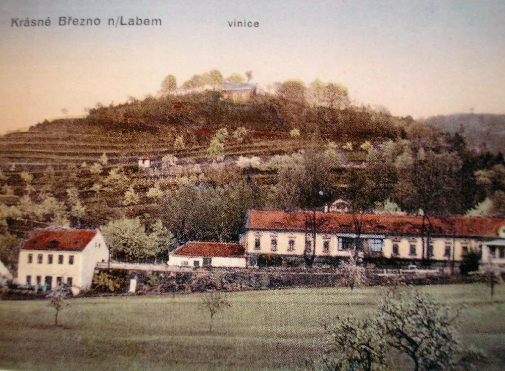 Historick pohlednice Vininho vrchu nad Krsnm Beznem.