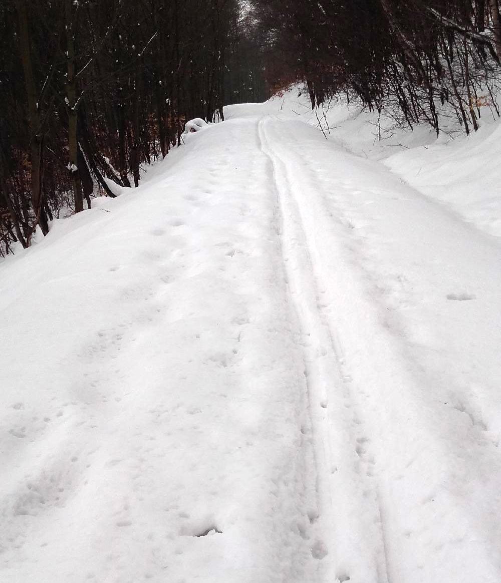 Cyklostezka 231 a erven se vzcnou snhovou pokrvkou vedou neomyln k Rzmburku.