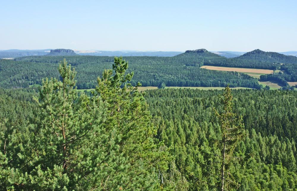 Lesn� stezka - Forststeig Elbsandstein - Labsk� p�skovce.