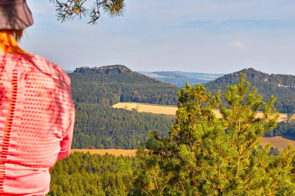 Lesn stezka Forststeig v sask sti Labskch pskovc.