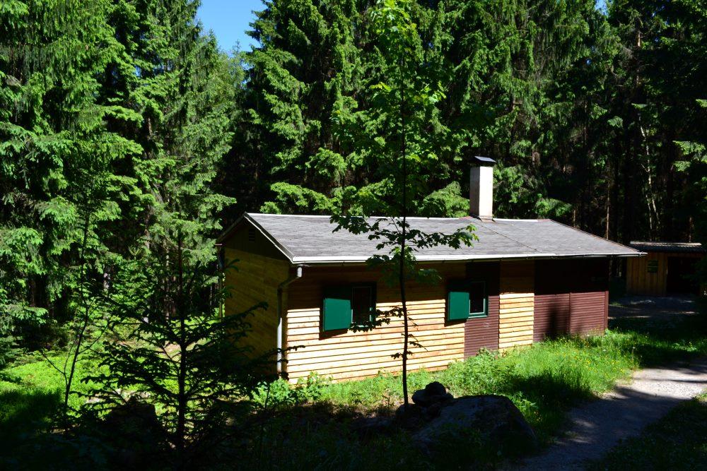 Lesn stezka Forststeig v sask sti Labskch pskovc.