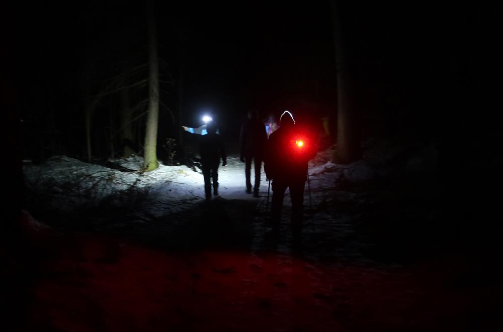 Cesta z Maxi�ek na Gro�er Zschirnstein po turistick� trase.