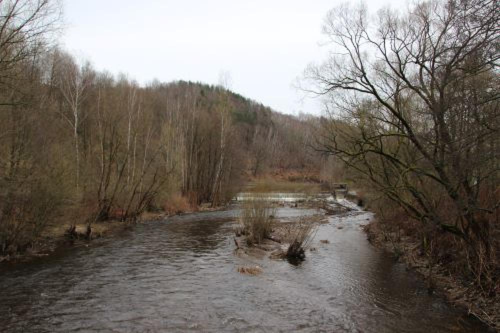 �dol� ���ky Mulde v sask� ��sti Kru�n�ch hor.