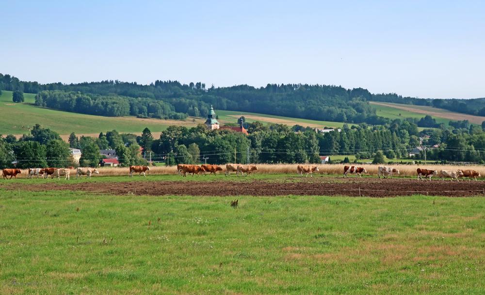U monument�ln�ho kostela ve Star�ch K�e�enech se nach�z� jedna z k��ov�ch cest �esk�ho nizozem�.