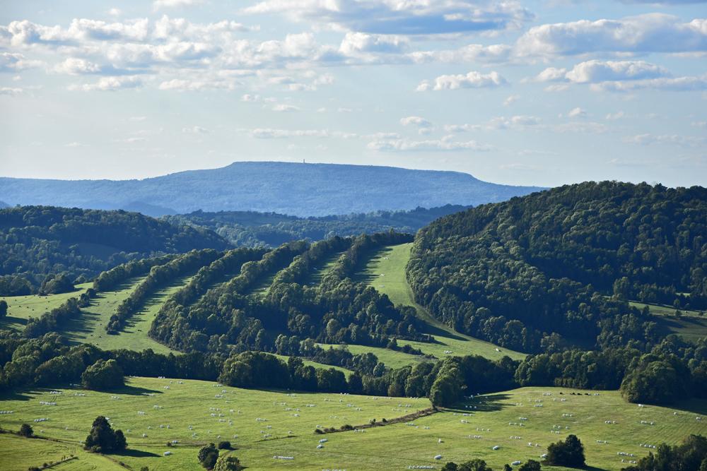 Rozhledna na Str�n�m vrchu u Merboltic. V�hled na D���nsk� Sn�n�k