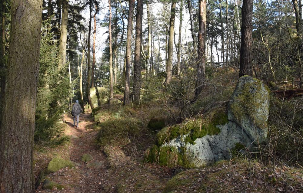 Lesn� stezka k vyhl�dce Wei�er Stein.