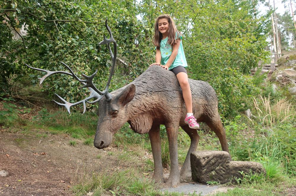 Nau�n� stezka �esk� silnice v n�rodn�m parku �esk� �v�carsko.