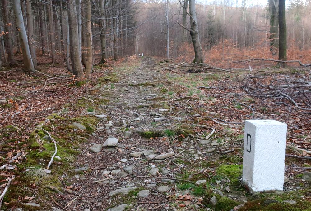 Hrani�n� p�ina na Weberberg (Lu�ick� hory).