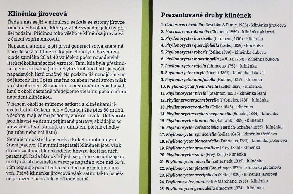 Ze �ivota kl�n�nek.
