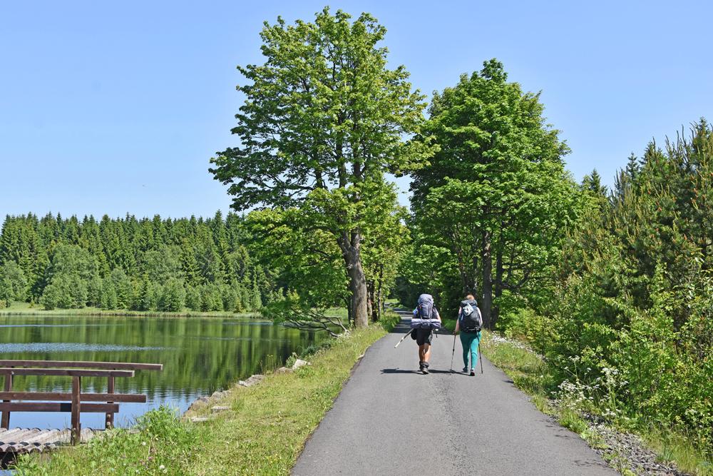 Krušnohorská Hřebenovka - NPR Novodomské rašeliniště. Krušnohorská Hřebenovka - NPR Novodomské rašeliniště.