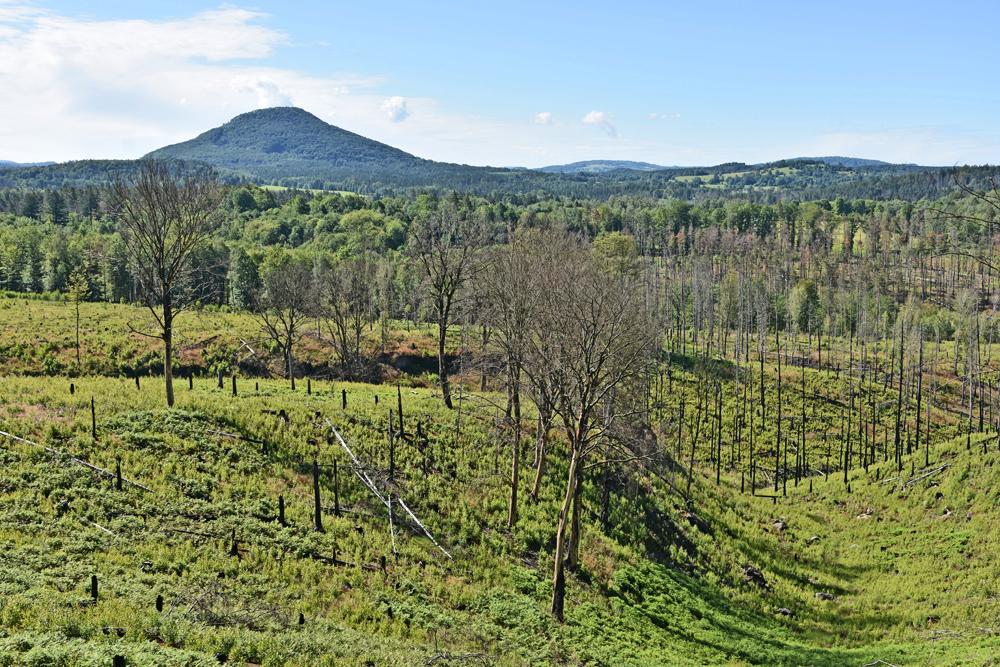Pr�zdninov� v�lety se str�ci NP �esk� �v�carsko.