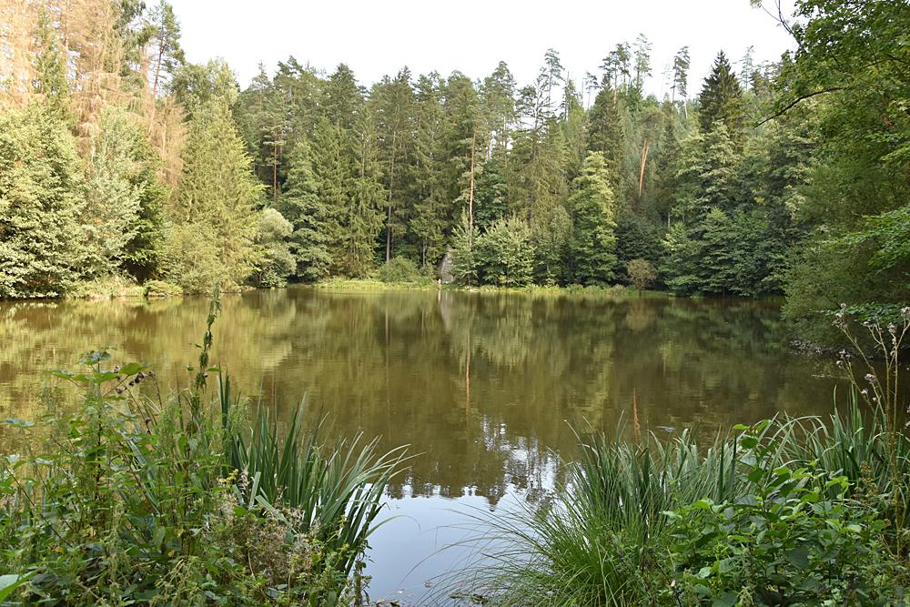 Griesel�v rybn�k, kolem kter�ho vede nau�n� stezka Pavl�nka.