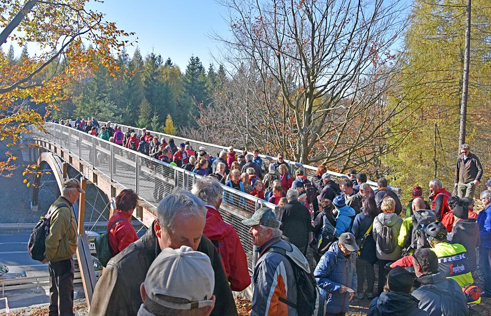 Oteven turistickho mostu na Stoeckm sedle v Luickch horch.
