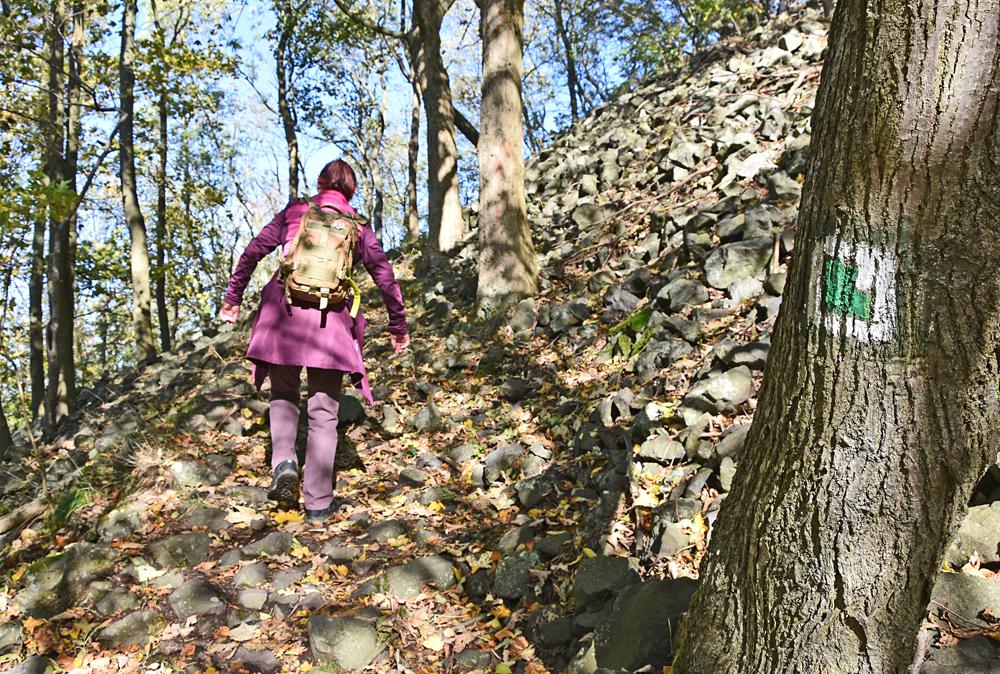 Rozhledna Zmeck vrch (hrad Kamenice) - esk vcarsko - cesta k rozhledn