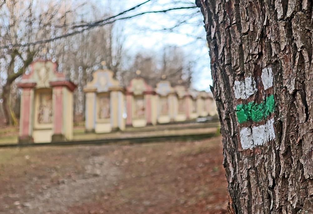 Kov cesta v Jietn pod Jedlovou (Luick hory)