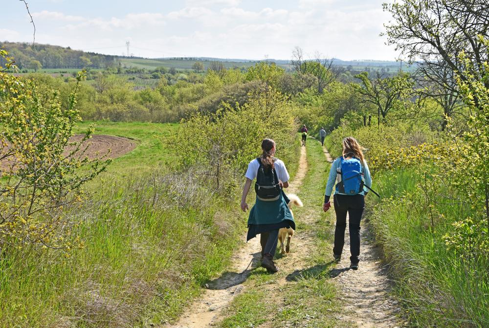 lut turistick trasa tt - Libchov