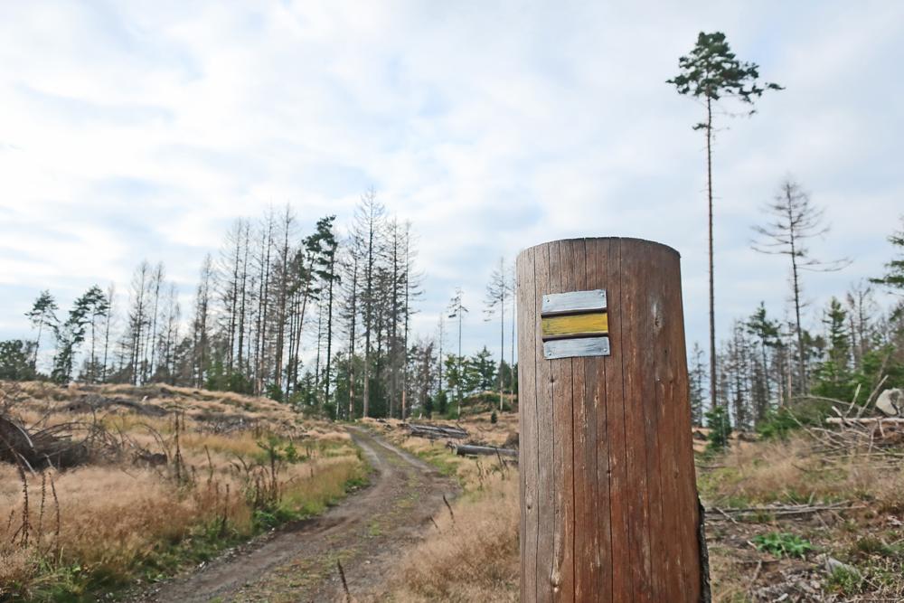 Turistick znaka na paezu (esk vcarsko)