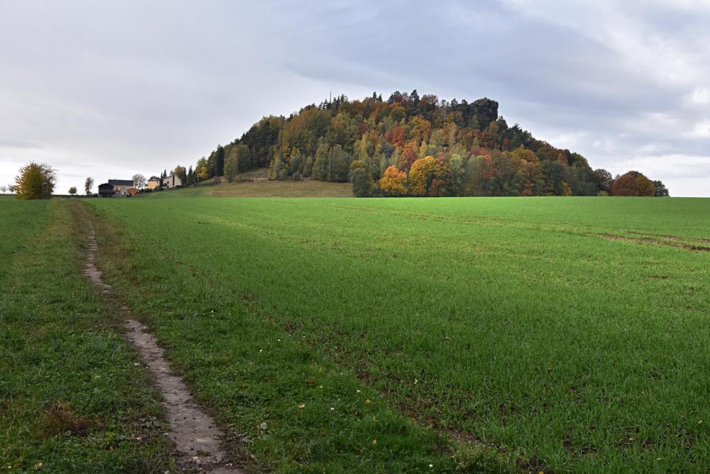 Kaiserkrone - Sask� �v�carsko