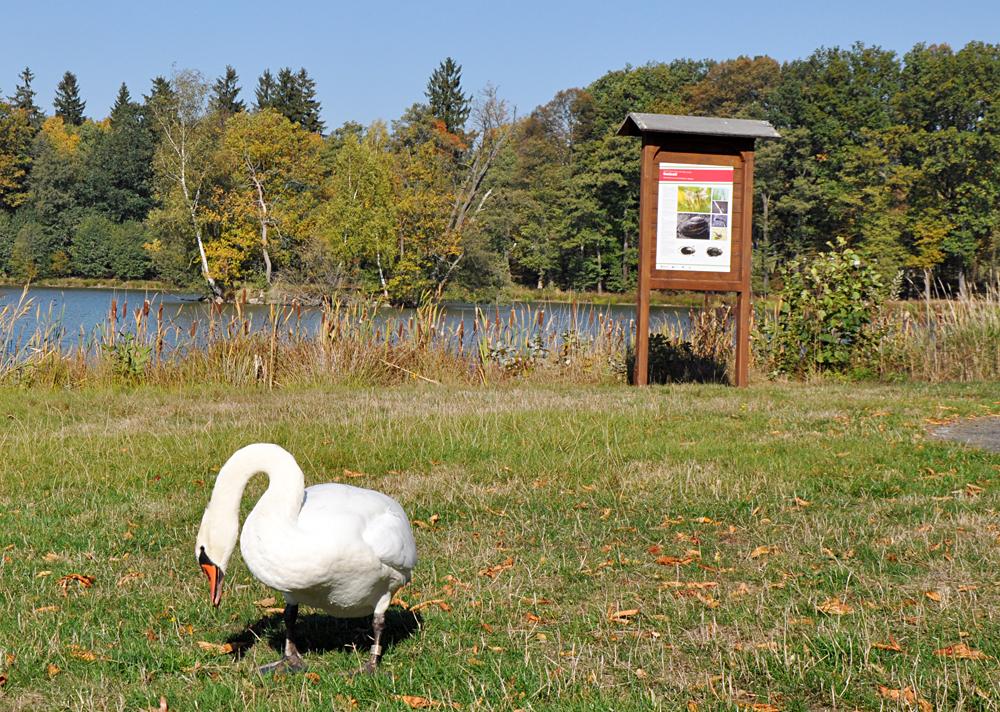 Na nkterch zoologickch naunch stezkch se meme potkat i se ivmi zvaty.