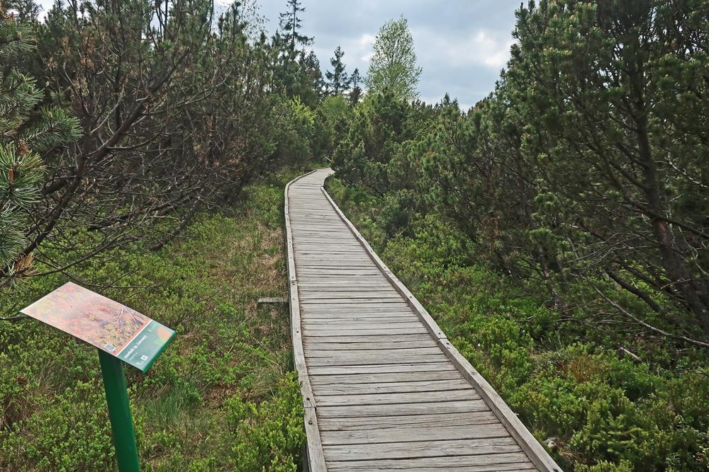 Nau�n� stezka Bo��darsk� ra�elini�t�.