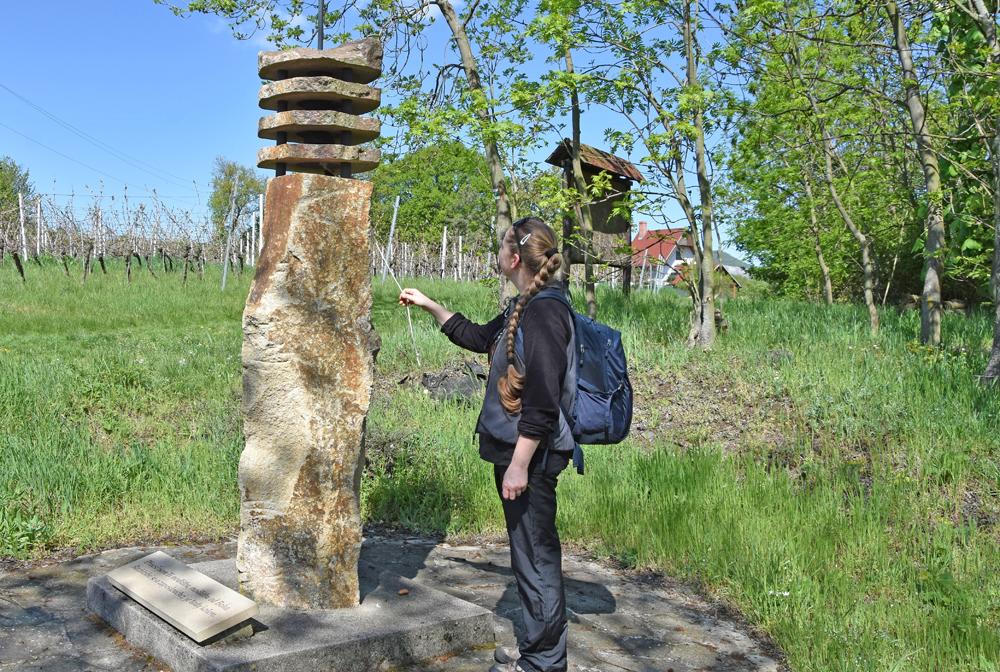 Kamenn� zvoni�ka na nau�n� stezve Porta Bohemica u Mal�ch �ernosek.