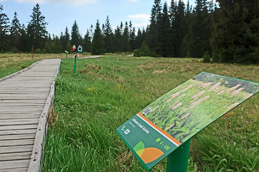 Raelinit kolem Boho Daru - Naun stezka Boidarsk raelinit.