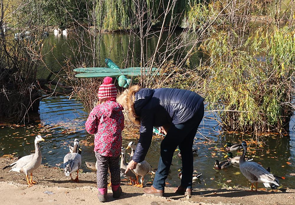 Zoopark Chomutov - vodn ptactvo.