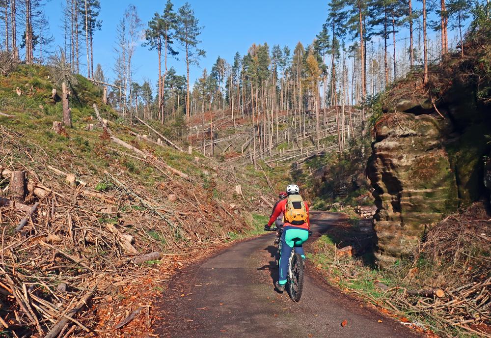 Cyklist� na v�let� v �esk�m �v�carsku pod Tok�n�.