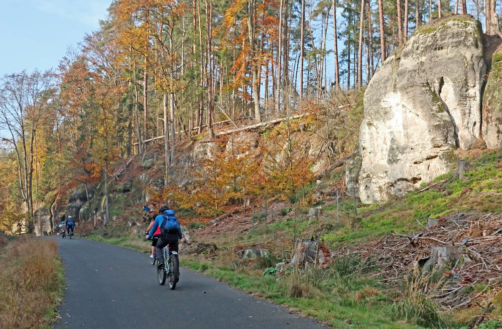 Cyklist� v �eskosask�m �v�carsku.