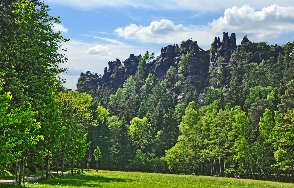 P�skovcov� masiv Nonennfelsen u Jonsdorfu.