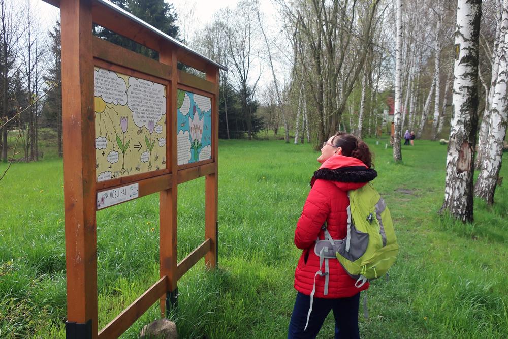 Nau�n� stezka Fascinuj�c� p��b�h medu ve Varnsdorfu.