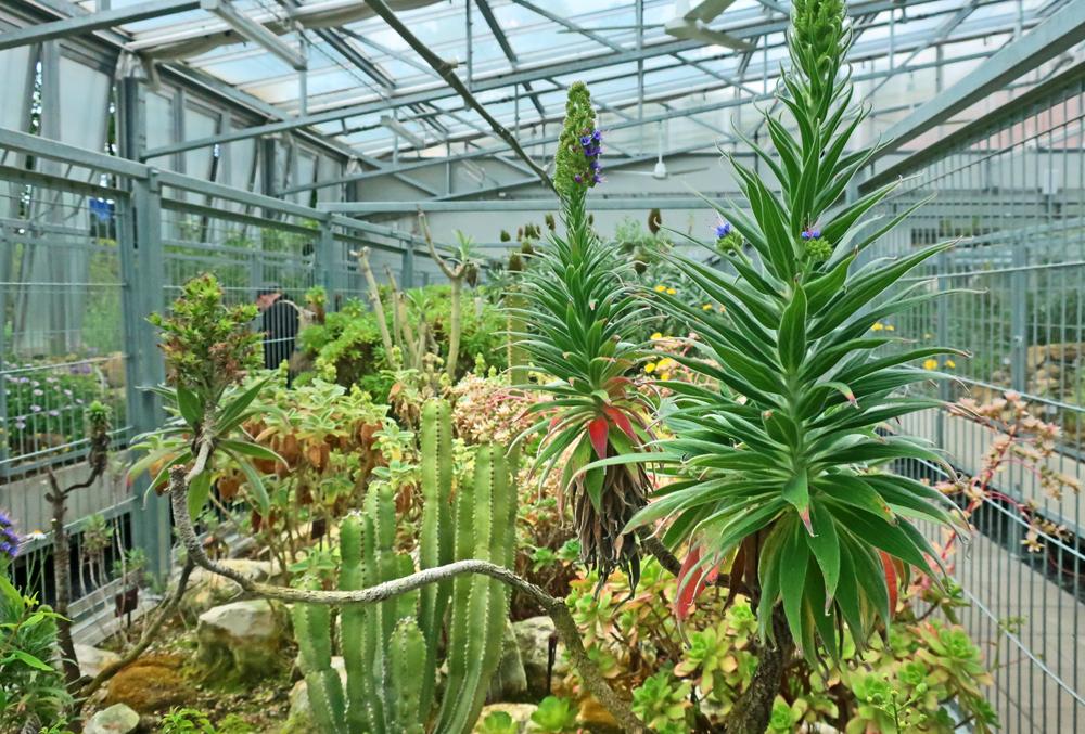 Botanick� zahrada Teplice - expozice skalni�ek