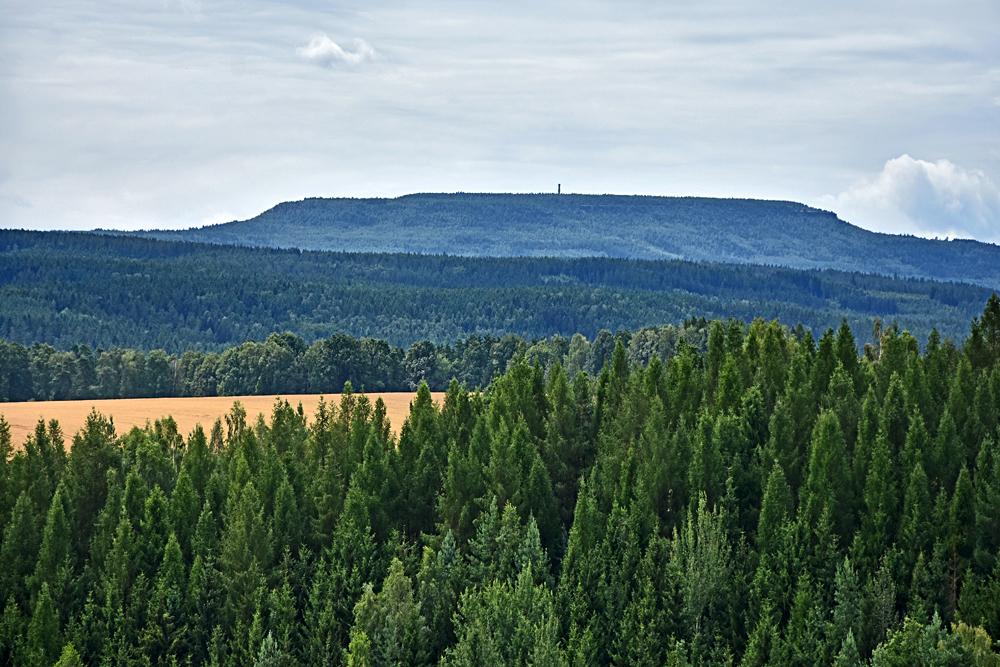 D���nsk� Sn�n�k z vyhl�dky na Kleinhennersdofer Steinu.